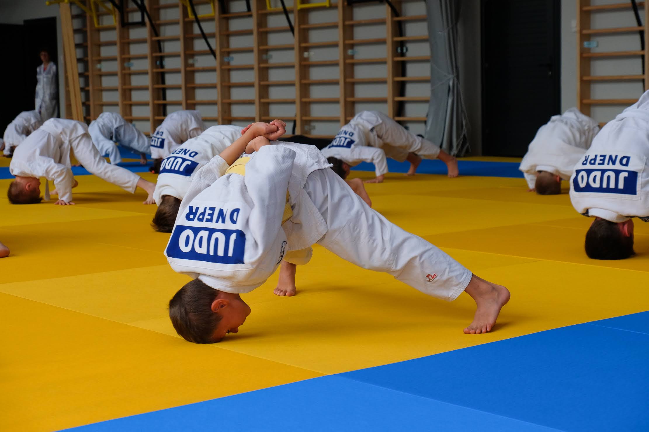 Дзюдо спорткомплекс